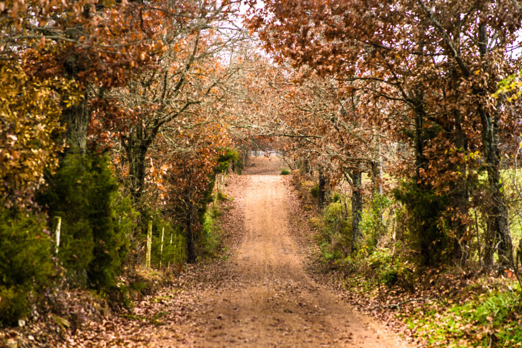 BACK COUNTRY ROADS 