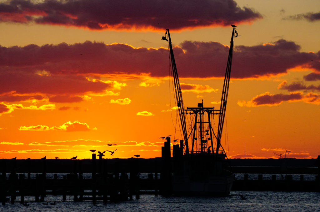 FISHING BOAT SUNSET