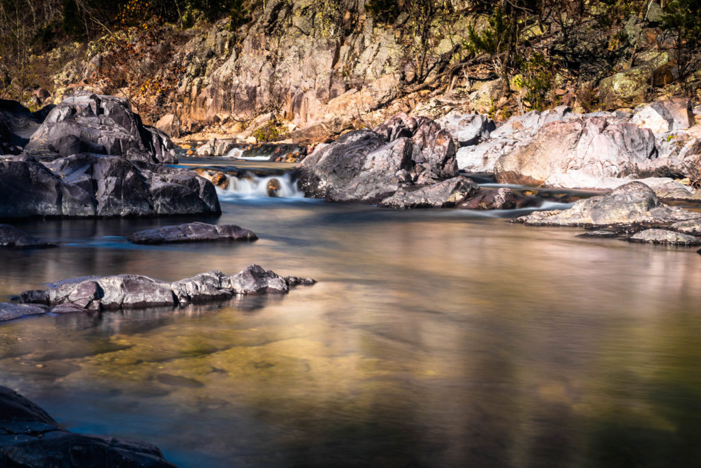 JOHNSON'S SHUT-INS