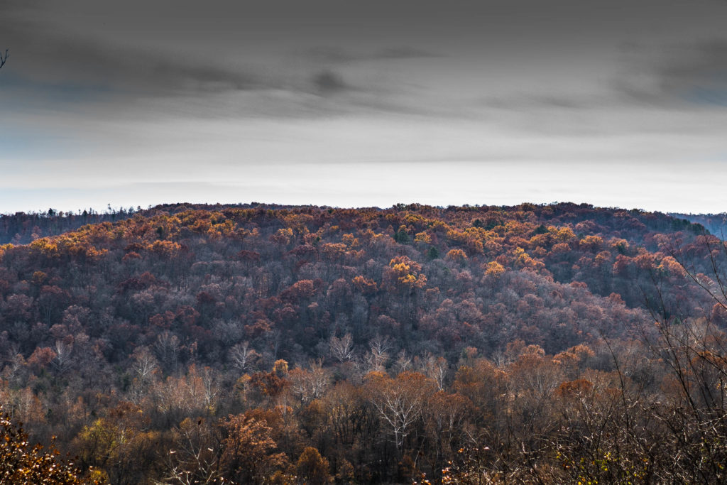 OVERLOOK HWY106 MISSOURI