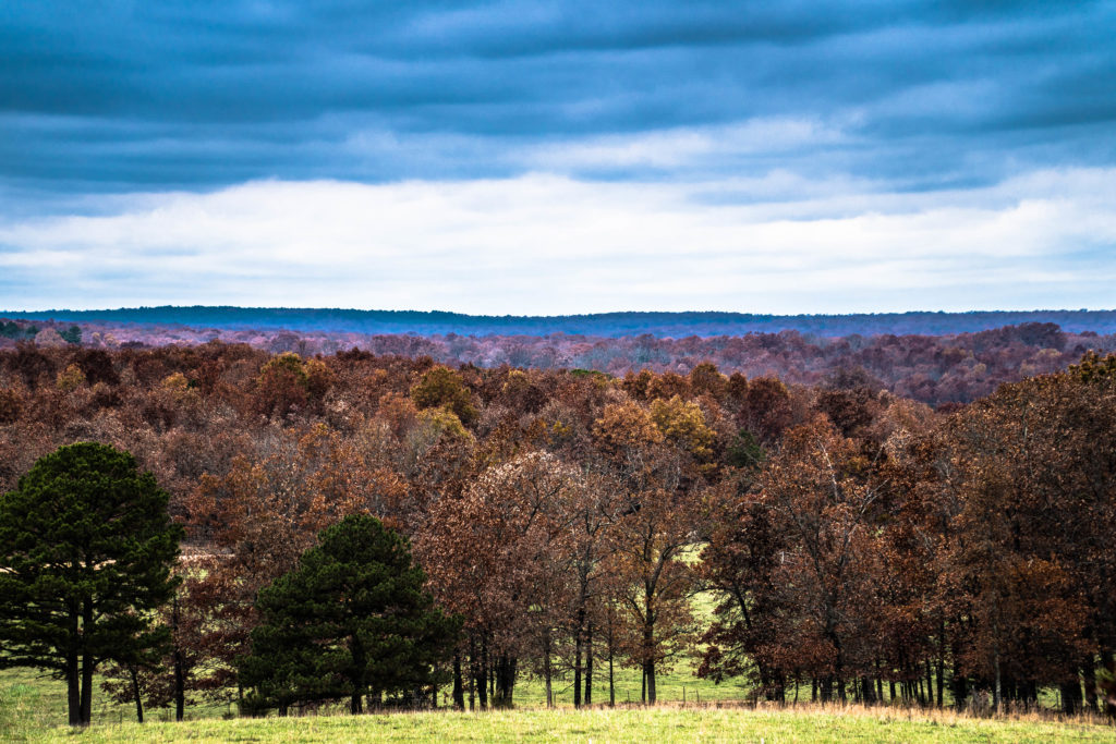 OVERLOOKING THE VALLEY