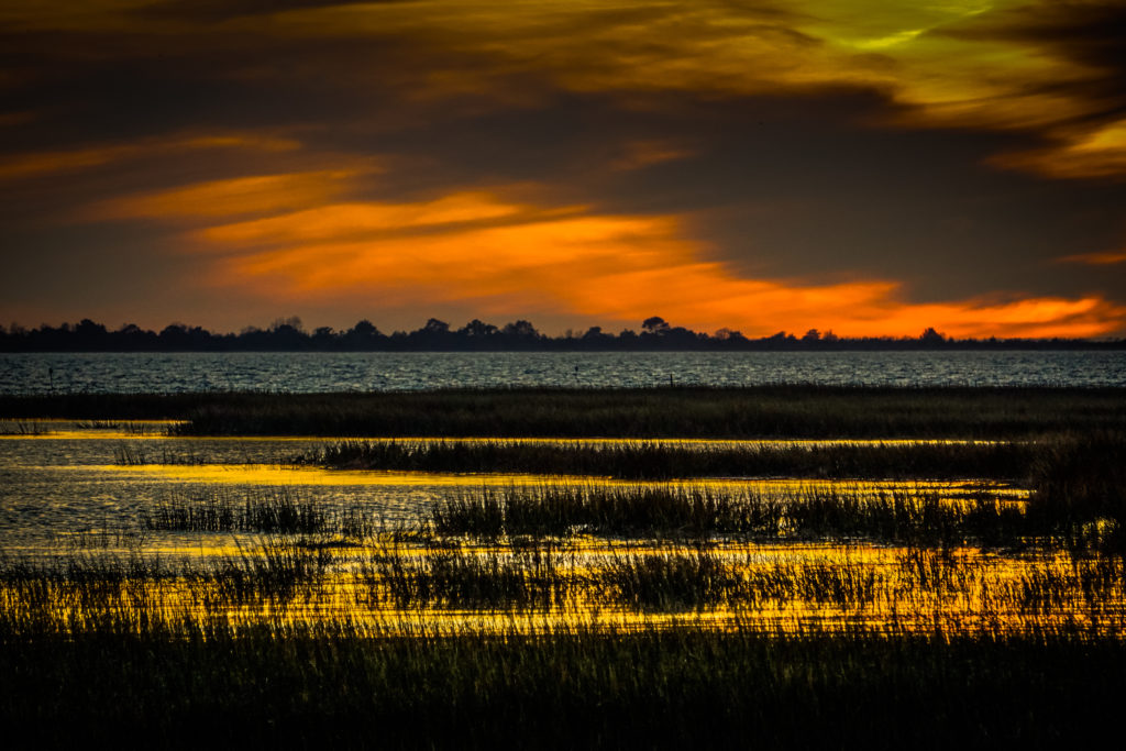 OYSTER BAY SUNRISE