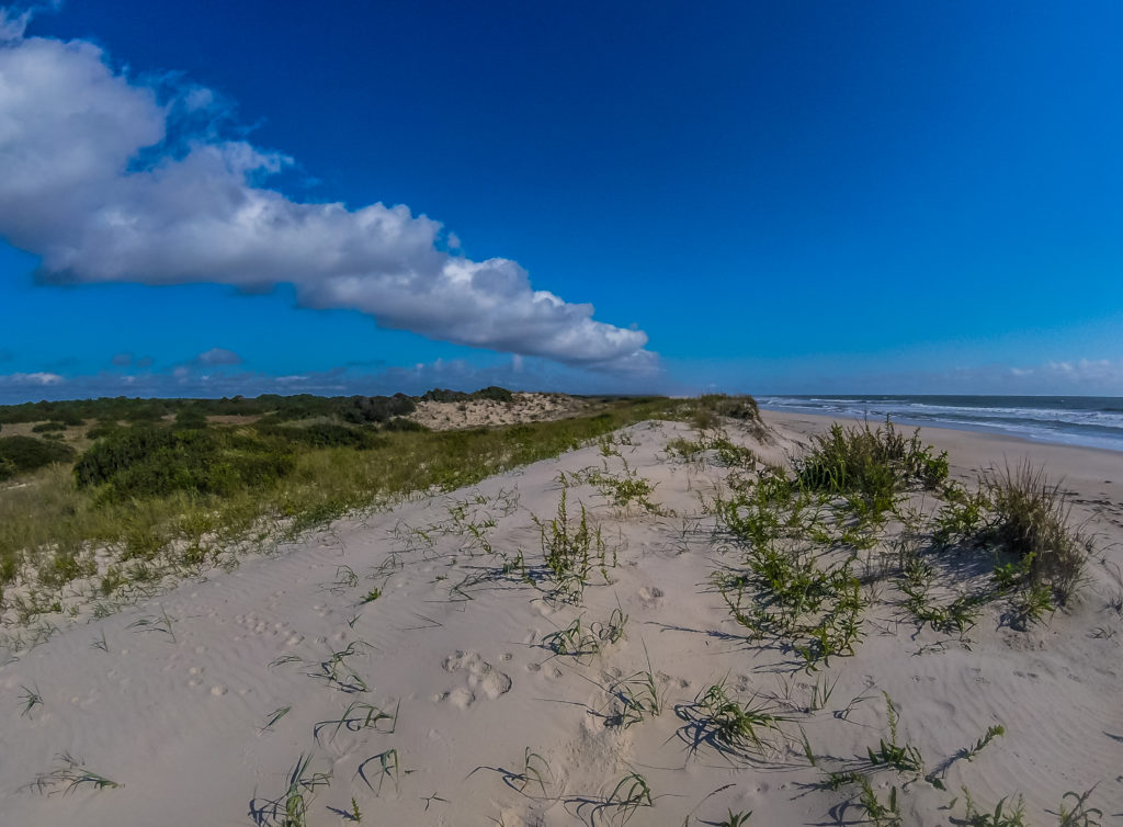 SAND-DUNES-AI